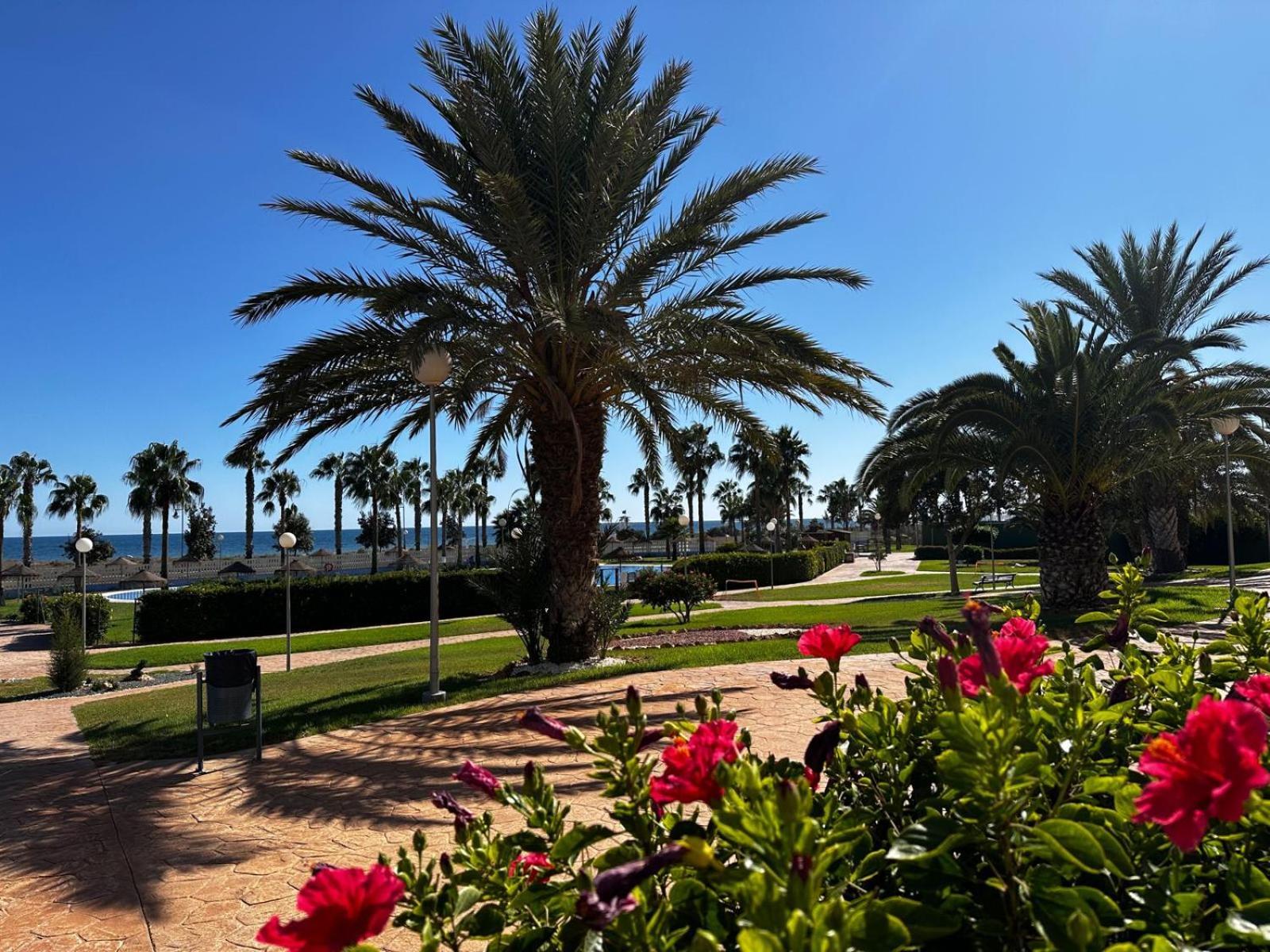 Luxurious Spacious Three Bedroom Apartment On Beachfront Almerimar Buitenkant foto